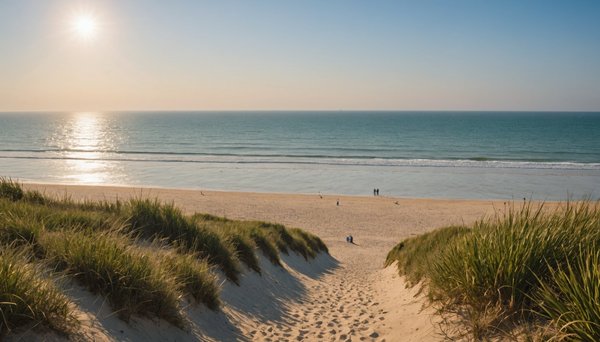 Les plus belles plages à découvrir autour de royan